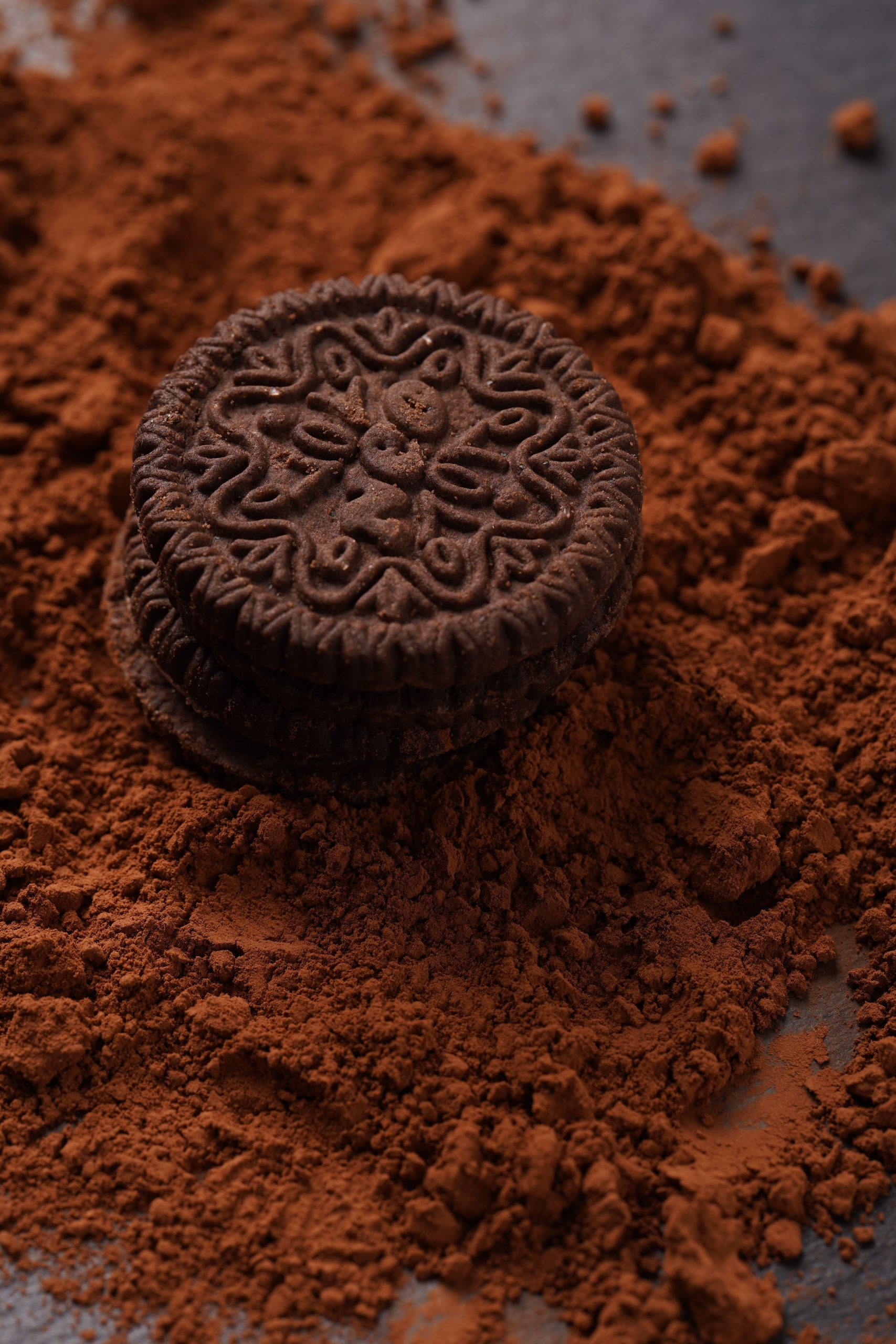 Dark Chocolate Biscuit